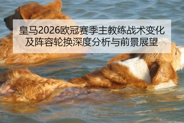 皇马2026欧冠赛季主教练战术变化及阵容轮换深度分析与前景展望